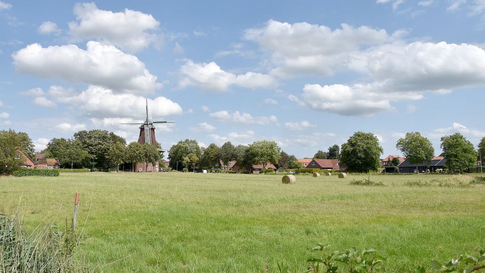 Einen Blick auf die Mühle in Upgant-Schott wird es so künftig nicht mehr geben. Auf dem Grünland im Vordergrund soll die neue Kita gebaut werden. Foto: Thomas Dirks