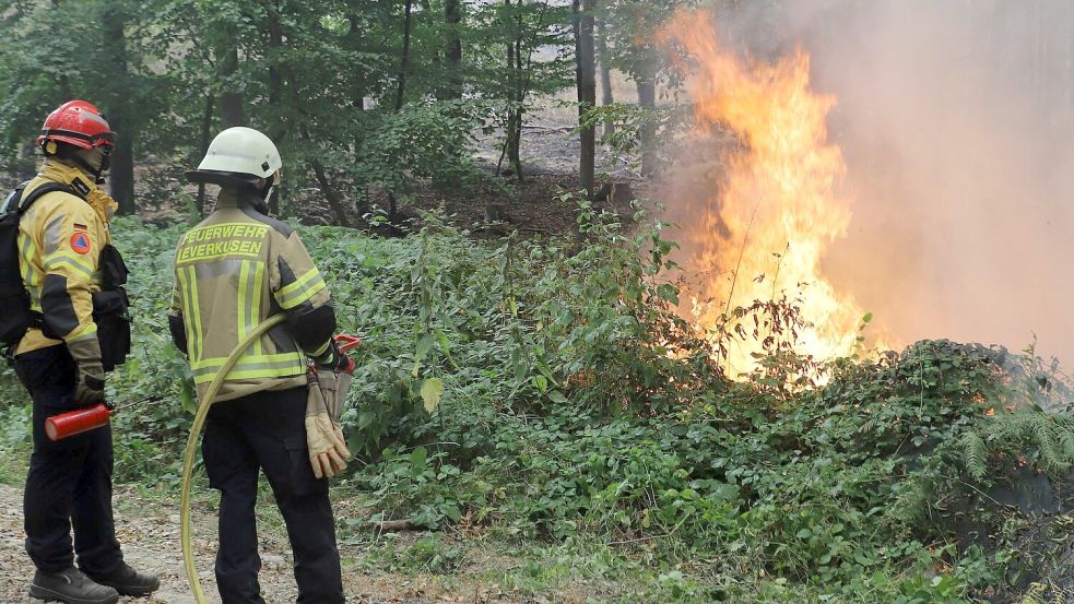 Feuerwehrsprecher Peter Berndgen sagte, die Kräfte würden im Laufe des Tages noch einmal deutlich erhöht. Foto: Sascha Thelen
