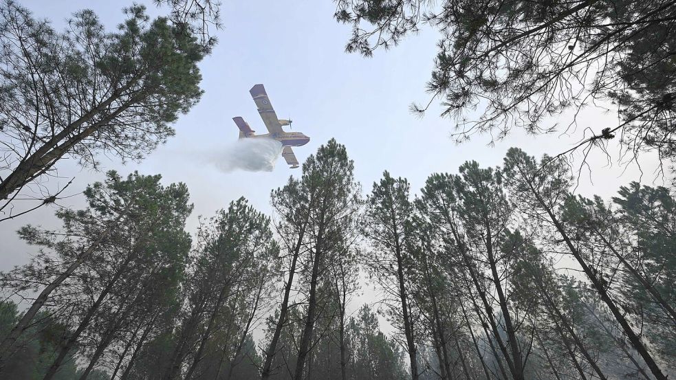 Der Brand bei Luglon hat inzwischen rund 1.600 Hektar Wald und Buschland erfasst. Etwa 650 Menschen wurden vorsorglich evakuiert. Foto: Gaizka Iroz/AFP/dpa