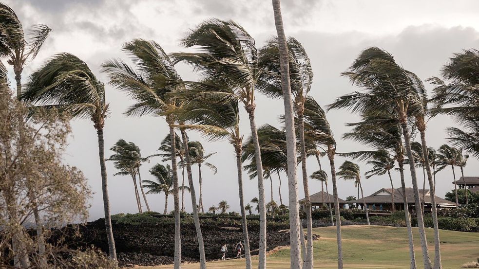 Der Sturm „Lala“ hat sich unmittelbar vor Hawaii zu einem Hurrikan verstärkt und sorgt für Überschwemmungen, Stromausfälle und Straßensperren. Foto: Stephen Lam