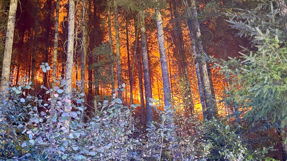 In mehreren Regionen kämpfen Feuerwehrleute gegen Flammen. Foto: Marius Daute/Feuerwehr Rottweil/