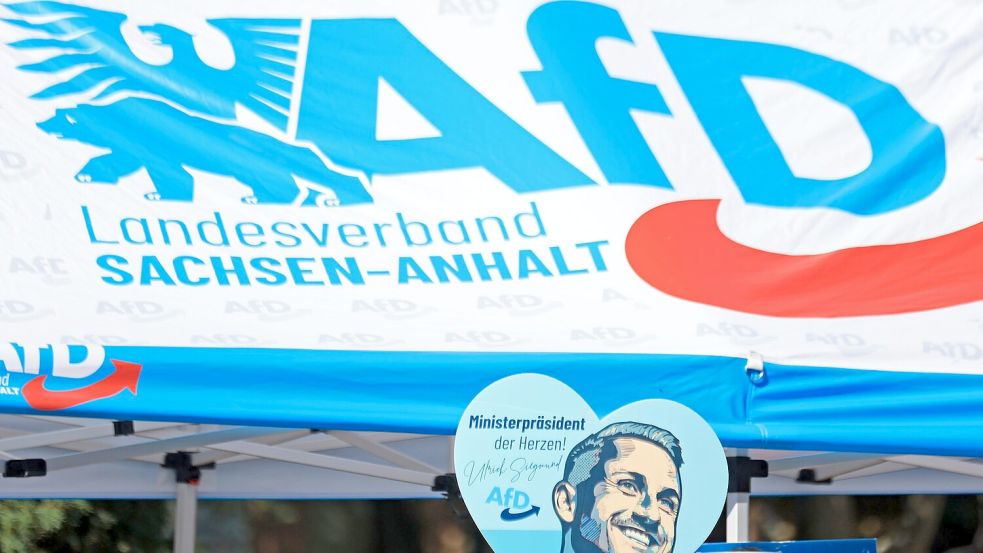 In Sachsen-Anhalt wird am 6. September ein neuer Landtag gewählt. (Archivbild) Foto: Matthias Bein