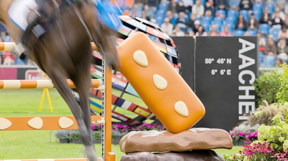 Der Reitsport steht unter Beobachtung. Foto: Rolf Vennenbernd