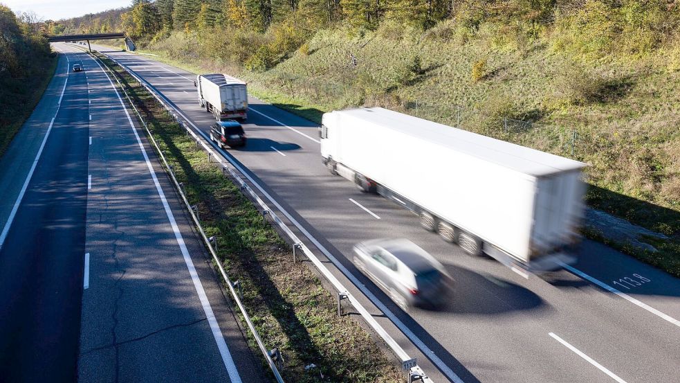 Um ihre Katze zu finden, hat eine Familie in Frankreich ihren Urlaub abgesagt und die Zeit an einer Autobahnraststätte verbracht. (Symbolbild) Foto: Philipp von Ditfurth/dpa