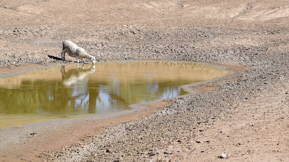 Zusätzlich zum Klimawandel durch menschengemachte Treibhausgase kommt nun das Wetterphänomen El Niño auf die Welt zu. (Symbolbild) Foto: Dean Lewins