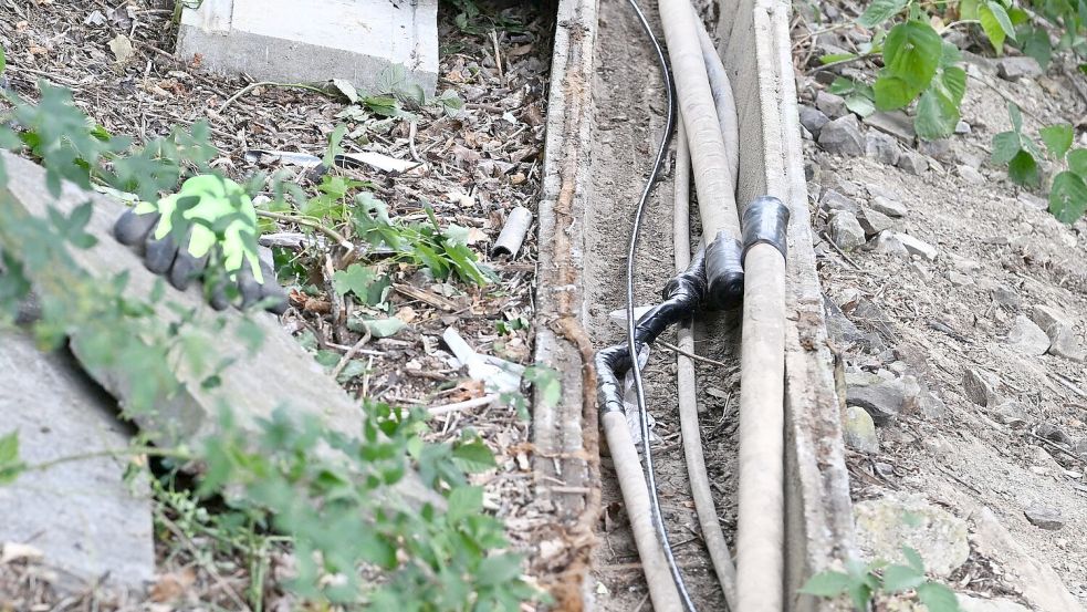 Die durchtrennten Kabel wurden am Sonntag entdeckt. Foto: Bernd Weißbrod