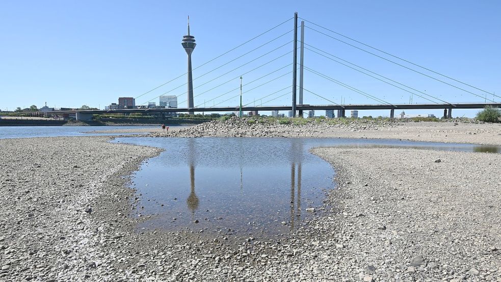 Die Pegelstände am Rhein lagen in diesem Sommer zeitweise auf historisch niedrigem Niveau. Foto: Federico Gambarini
