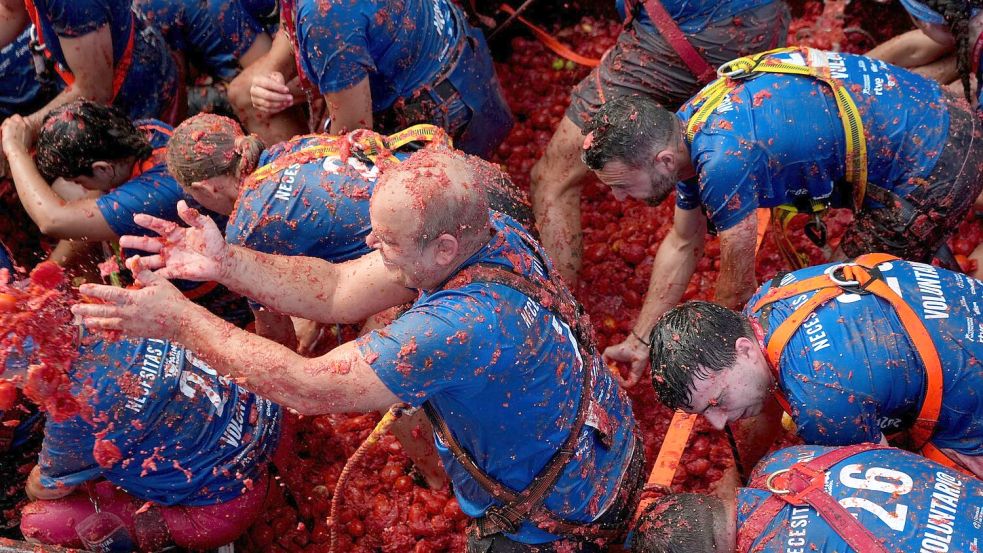 Helfer werfen die überreifen und weichen Tomaten von langsam durch die Innenstadt fahrenden Lastwagen in die Menschenmenge. Danach kippen die Lastwagen den Rest der rund 150 Tonnen roter Früchte ab und die Teilnehmer der „La Tomatina“ stürzen sich darauf, um sich mit neuen Wurfgeschossen zu versorgen. Foto: Alberto Saiz