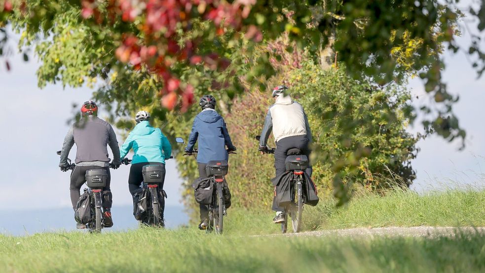 Radfahren im Herbst Foto: Thomas Warnack/dpa