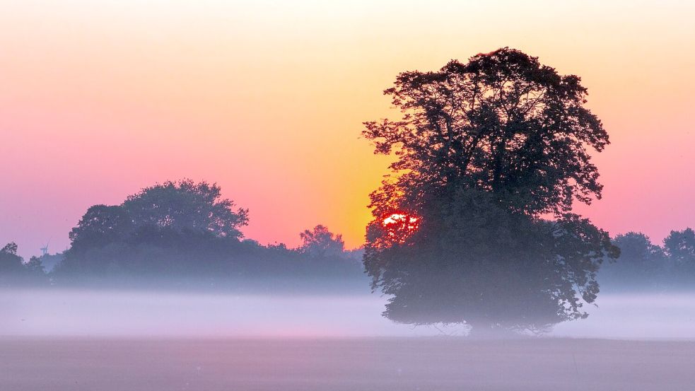 Zum Herbstanfang noch viel Sonnenschein und milde Temperaturen Foto: Jens Büttner