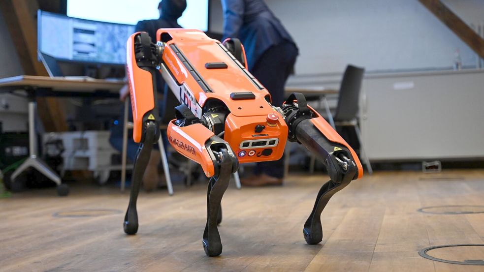 Ähnliche Roboter kamen auch am Hamburger Hafen zum Einsatz. (Archivbild) Foto: Katrin Luxenburger/dpa