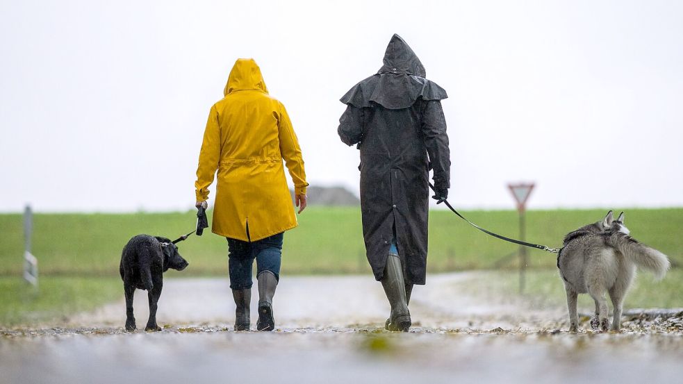 Der Herbst ist wieder die Zeit für Mäntel und Regenjacken Foto: Mohssen Assanimoghaddam