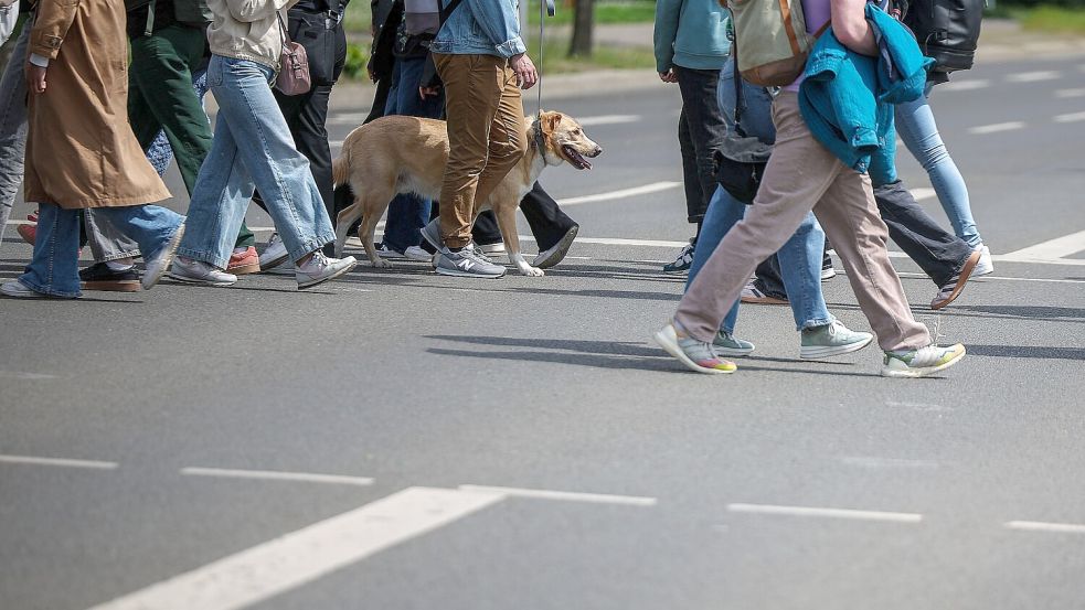 Zahlreiche Fußgänger überqueren eine Straße. Foto: DPA