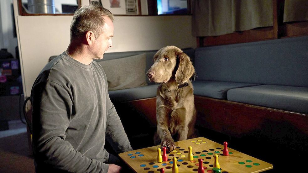 Hund ärgere Dich nicht: Holly fordert sein Herrchen Hauke Jacobs (Hinnerk Schönemann) beim Brettspiel heraus. Foto: NDR/ARD/Sandra Hoever