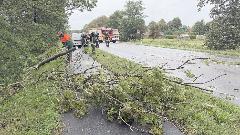 Die Feuerwehr war im Einsatz, nachdem ein Baum auf ein Auto gestürzt war. Foto: Feuerwehr Norden