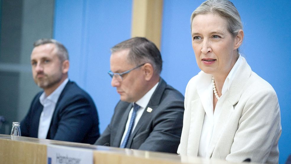 Will gegen irreguläre Migration vorgehen: AfD-Co-Chefin Alice Weidel. Foto: Bernd von Jutrczenka