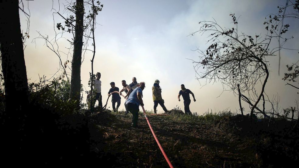 Immer wieder gibt es Waldbrände in der Türkei. (Archivbild) Foto: Emrah Gurel/AP/dpa