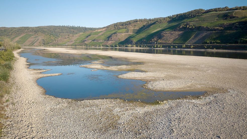 Im Rhein entstanden riesige Sandbänke. Trockenheit und Hitze ließen die Pegelstände fallen. (Archivbild) Foto: Thomas Frey