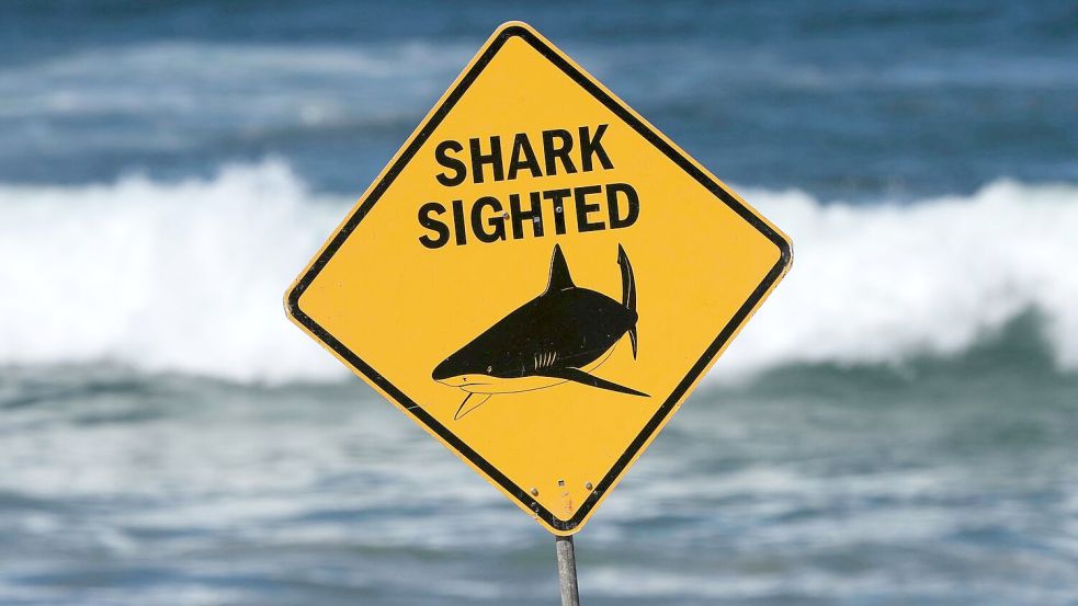 Der Mann wurde wegen schwerer Verletzungen am Bein im Krankenhaus behandelt. Foto: Mark Baker/AP/dpa