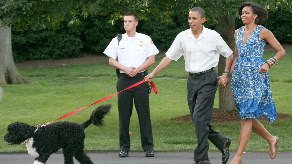 Bevor Hündin Sunny zu den Obamas kam, gehörte auch schon Hund Bo zur Familie. (Archivbild) Foto: Gary Fabiano / Pool