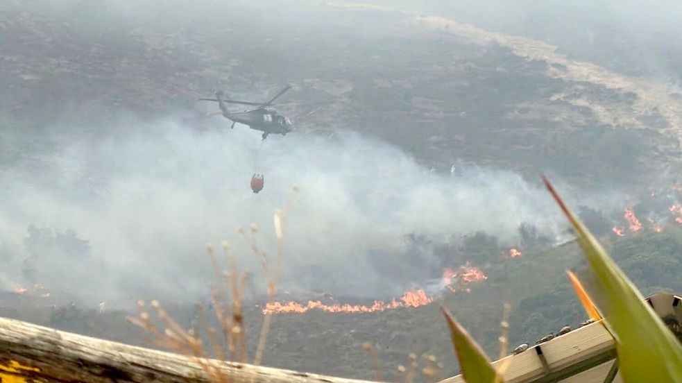 Hunderte Einsatzkräfte sind an der Bekämpfung der Flammen beteiligt. Foto: colprensa / Akt. Bifu/Colprensa/dpa