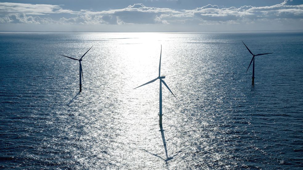 Der Offshore-Windpark Riffgat rund 15 Kilometer nördlich der Insel Borkum. Foto: DPA/Sina Schuldt