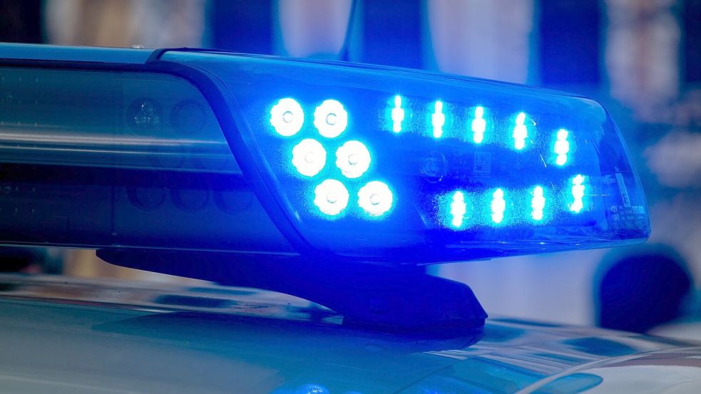 Die Polizei durchsucht Wohnung und Kellerräume der 42-Jährigen. (Symbolbild) Foto: Klaus-Dietmar Gabbert/dpa-Zentralbild/dpa