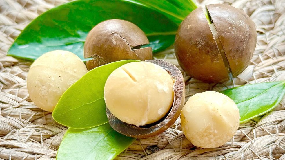 Macadamia-Nüsse haben eine buttrige, fast cremige Konsistenz.  Foto: Carola Frentzen/dpa