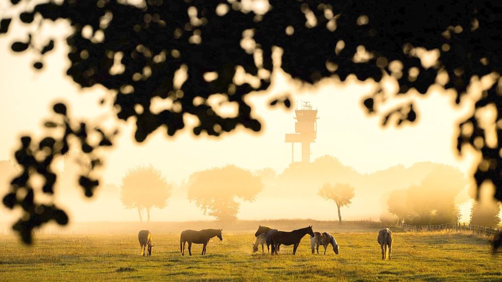 Nachdem sich die morgendliche Kühle verzogen hat, wird es wieder Sommer.  Foto: Julian Stratenschulte/dpa