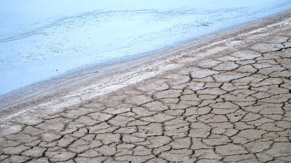 Wo sonst Wasser oder zumindest Schlamm ist, ist es derzeit knochentrocken im Düsseldorfer Hafen.  Foto: Christoph Reichwein/dpa