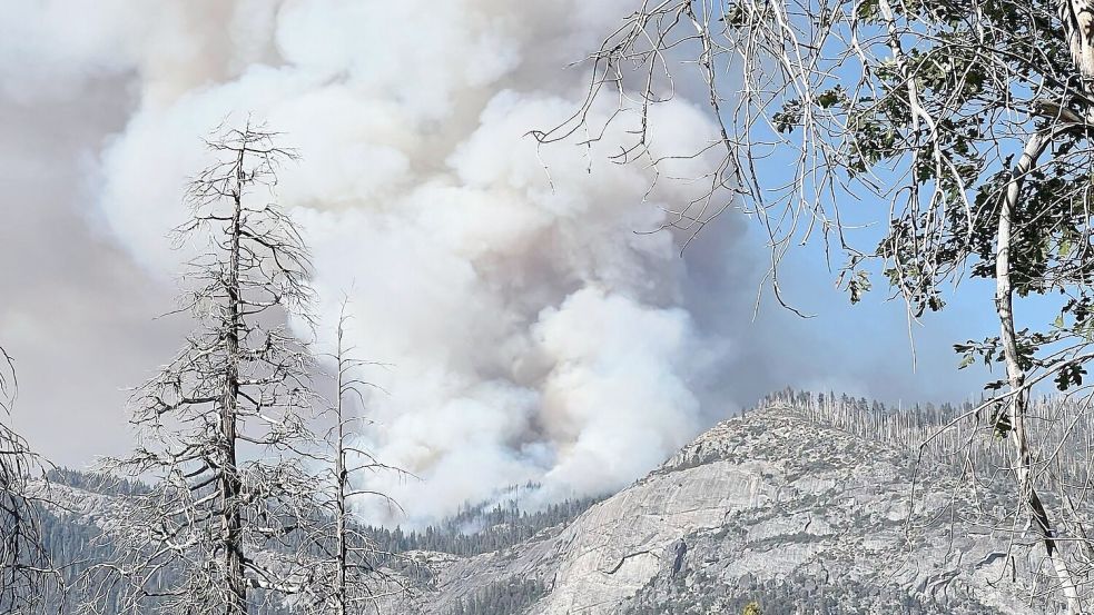 Die Umweltschäden durch Waldbrände sind immens. (Archivbild) Foto: Uncredited/National Parks Service/AP/dpa