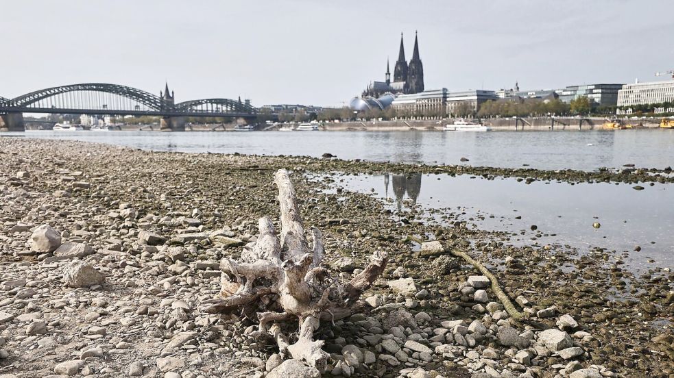 In großen Teilen Europas kam es zu Niedrigwasser - wie hier in Köln. Foto: Oliver Berg/dpa