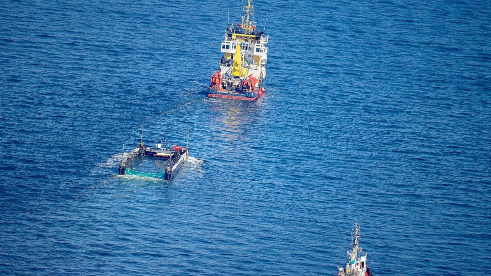 Die Bergung des im Frühjahr an der deutschen Ostsee gestrandeten Wals hat ein Nachspiel. (Archivbild) Foto: Christoph Reichwein/dpa