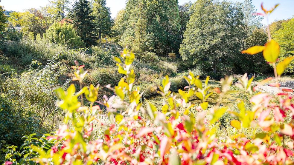 Im Süden Deutschlands werden Höchstwerte um die 23 Grad erwartet.  Foto: Laszlo Pinter/dpa