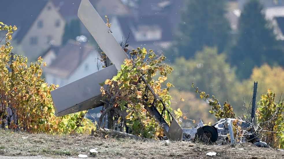 Das Flugzeug zerschellte in den Weinbergen. Foto: Marius Bulling/onw-images/dpa