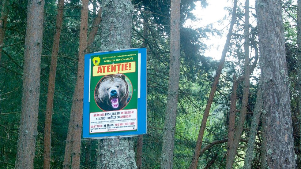 Ein Schild warnt vor Bären am Rande einer Bergstraße in den Karpaten. (Archivbild) Foto: Kathrin Lauer/dpa