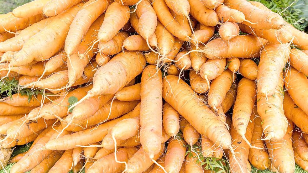 Der Mythos kursiert, Möhren zu essen könne Kurzsichtigkeit heilen. Foto: Frank Hammerschmidt/dpa