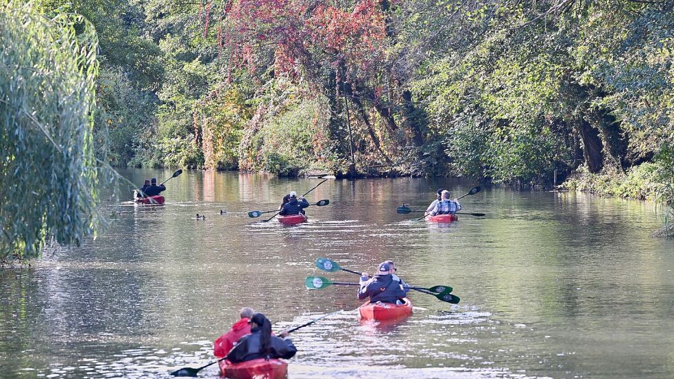 Im Spreewald funktioniere das Zusammenspiel von Naturschutz, nachhaltiger Nutzung und regionaler Wertschöpfung, loben die Autoren. Foto: Patrick Pleul/dpa