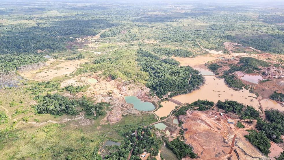 Für den Abbau von Gold – sowohl legal als auch illegal – wurden riesige Flächen im Amazonas-Regenwald abgeholzt.  Foto: Larissa Schwedes/dpa