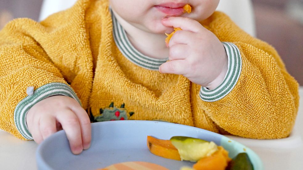 Zu Hause funktioniere die vegane Ernährung von Alina gut, sagen ihre Eltern. Schwieriger werde es unterwegs. Foto: dpa/Elisa Schu