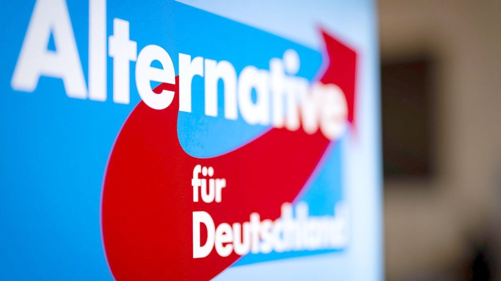 Hacker haben sich Zugang zu E-Mail-Postfächern der AfD verschafft. (Symbolbild) Foto: Christoph Reichwein/dpa