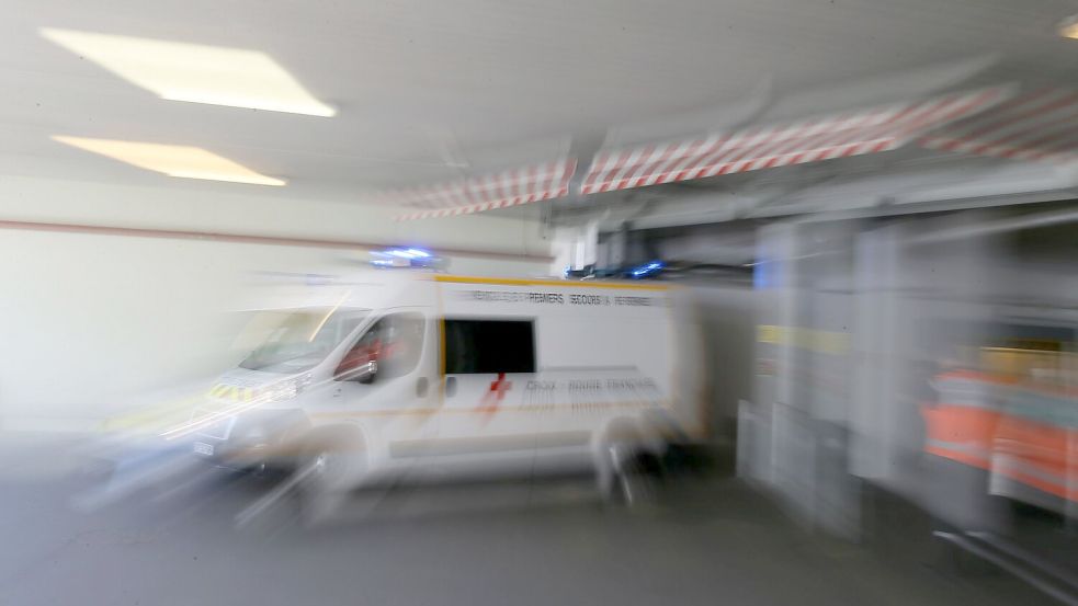 In Frankreich ist erstmals eine Shamonda-Virus-Infektion bei einem Menschen festgestellt worden (Archivbild). Foto: David Vincent/AP/dpa