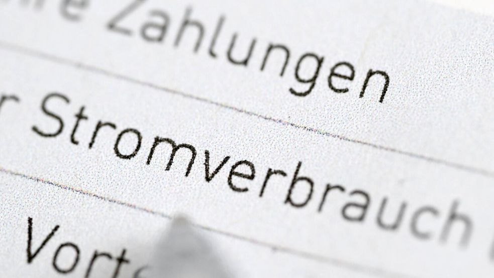 Für eine Senkung der Stromsteuer reichen die Mehreinnahmen nicht. (Illustration) Foto: Bernd Weißbrod/dpa