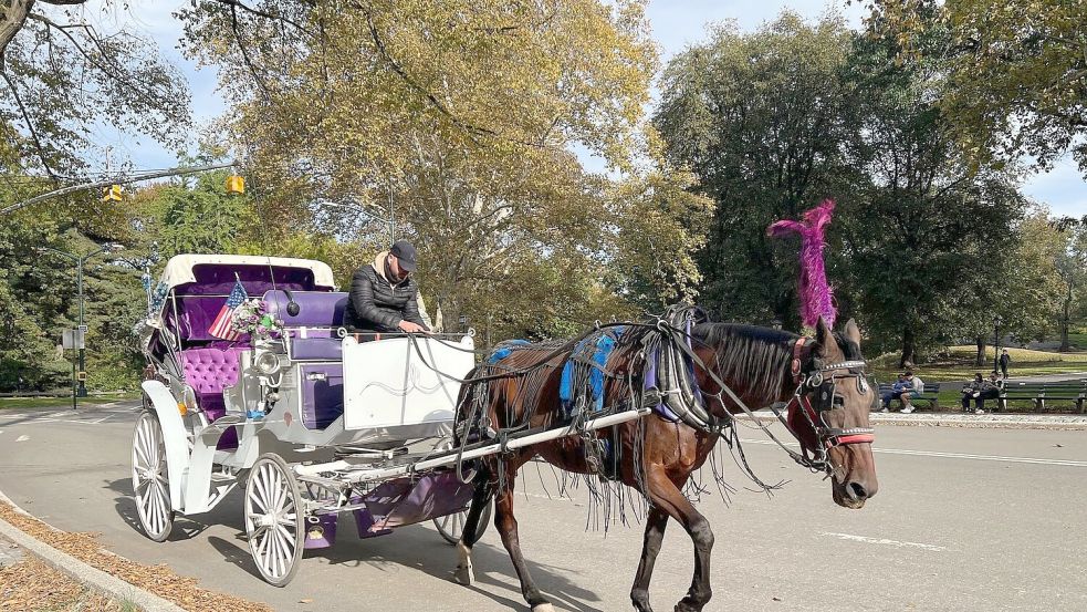 In New York können Touristen bald nicht mehr mit Pferdekutschen durch den Central Park fahren.  Foto: Christina Horsten/dpa