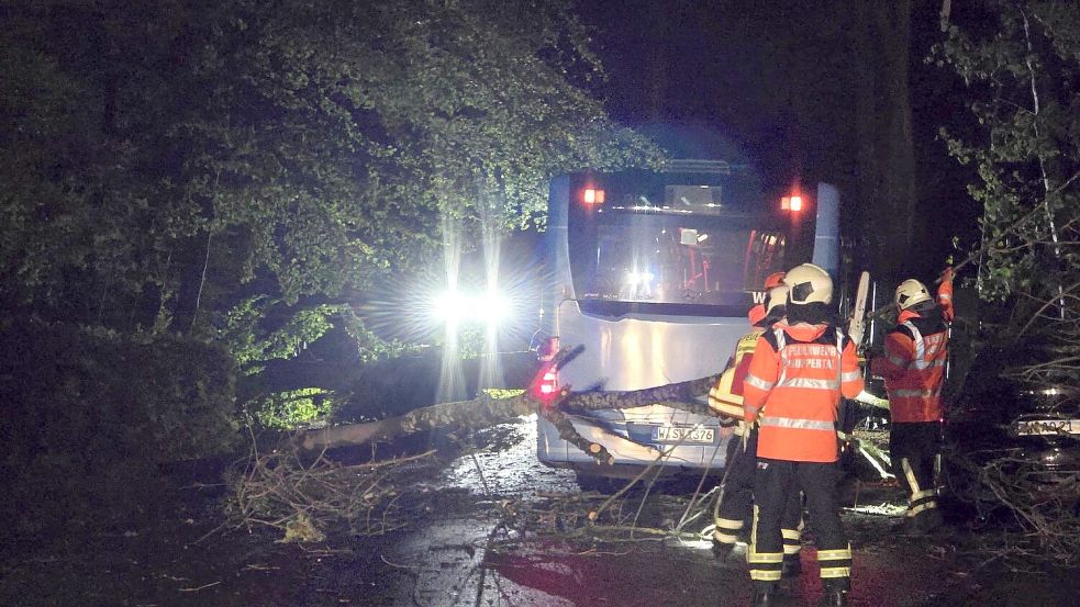 Auf den Straßen sorgten umgestürzte Bäume und abgebrochene Äste für Behinderungen.  Foto: Gianni Gattus/dpa