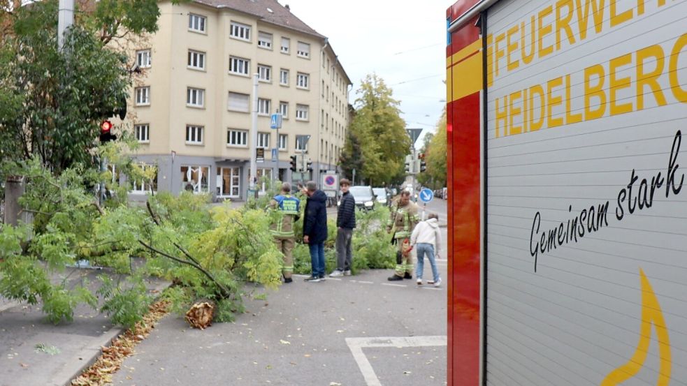 In mehreren Bundesländern rückte die Feuerwehr aus. Foto: Rene Priebe/dpa