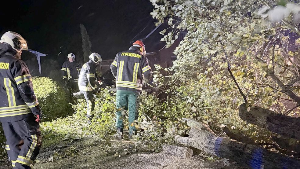 Feuerwehrleute beseitigen einen umgestürzten Baum von der Sandhorster Straße. Foto: Finn Feldmann/Feuerwehr Walle