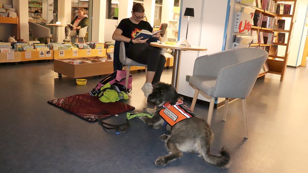 Gemeinsam und doch still verläuft der Silent Reading Club: Chaja Thiele mit Hund Hummel hat eigene Bücher zur Veranstaltung mitgebracht. Foto: Michaela Kruse