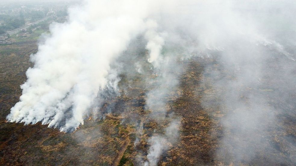 Die Brände auf Borneo und Sumatra wüten seit Monaten. Foto: Muhammad Hatta/AP/dpa