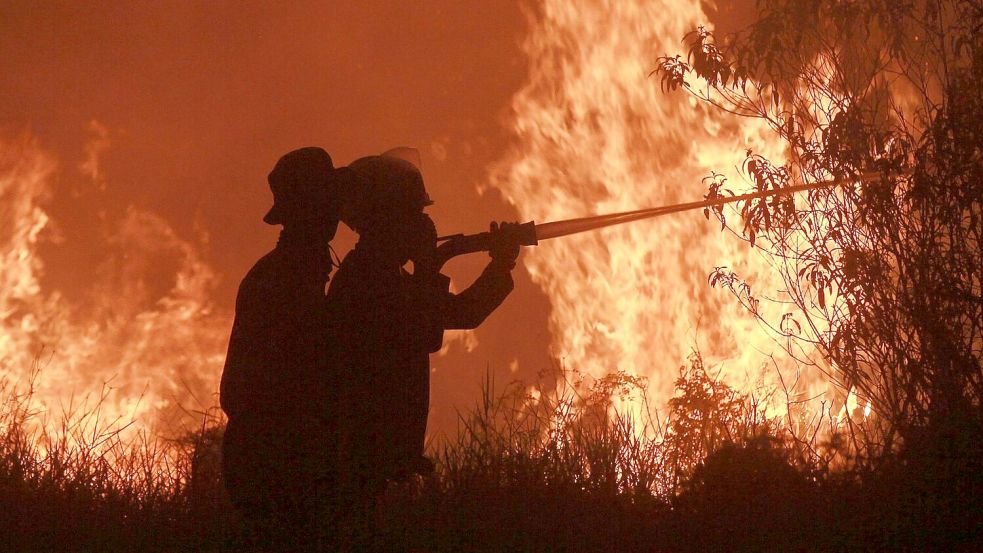 Die Feuer haben verheerende Schäden angerichtet. Foto: Muhammad Hatta/AP/dpa